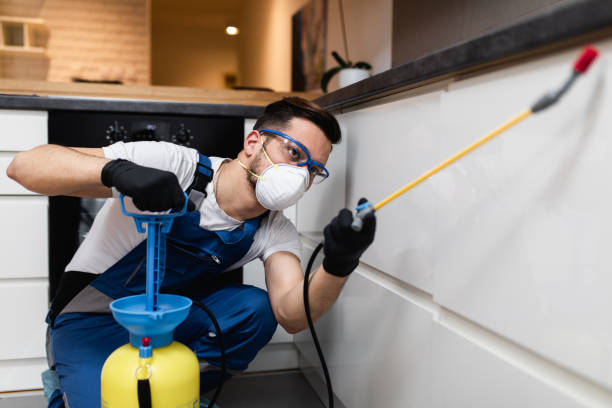 Professional Pest Control in Needville, TX
