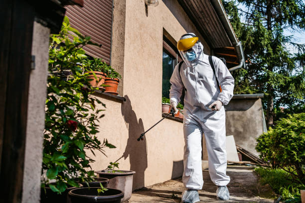 Best Exterminator Services  in Needville, TX
