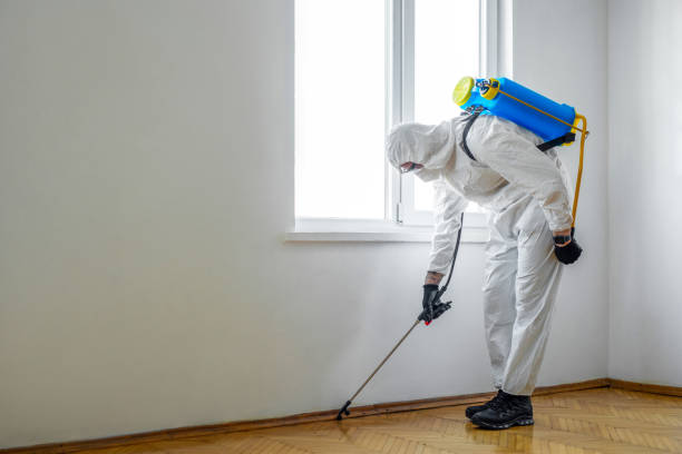 Best Affordable Pest Control Services  in Needville, TX