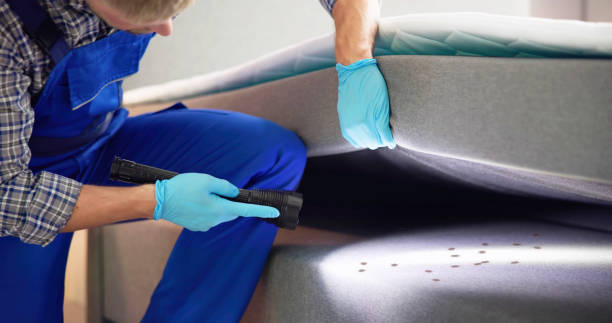 Best Pest Control Near Me  in Needville, TX