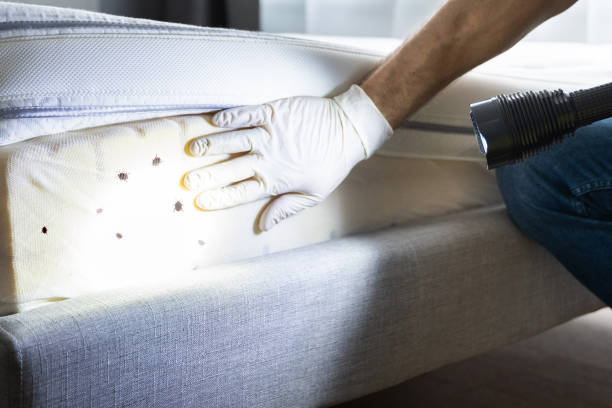 Best Best Pest Control Companies  in Needville, TX