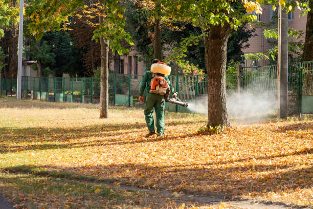Best Best Pest Control Companies  in Needville, TX