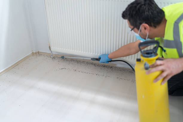 Best Pest Control Treatment  in Needville, TX